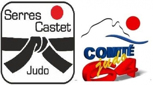 Le dimanche 25 janvier 2026 Animation petit tigres au complexe sportif de Serres Castet